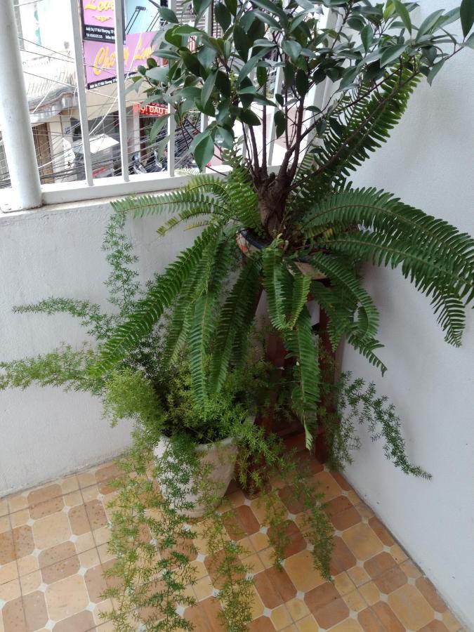 Da Lat 24H Guesthouse & Hotel Dış mekan fotoğraf